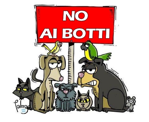 descrizione immagine